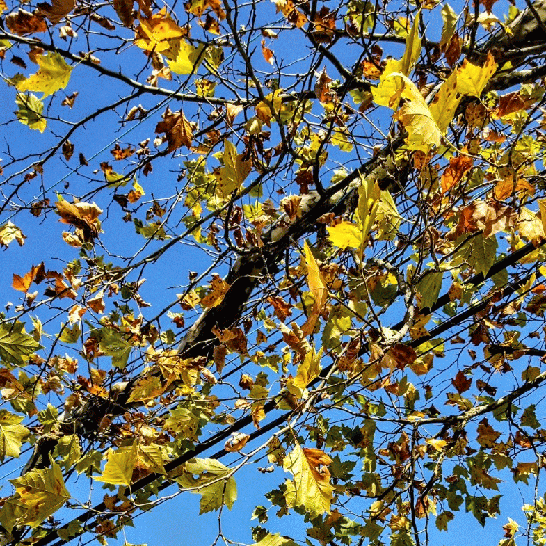 Rabbi Mark Biller's photos from JMR31