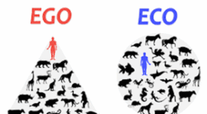 JMR34 Ego Eco graphic